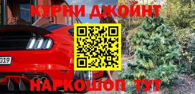 крисы Кунгур