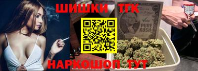 крисы Кунгур
