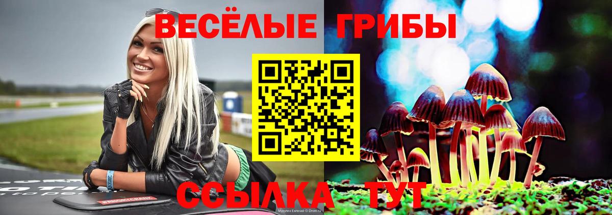 Донецк  Галлюциногенные грибы Magic Shrooms  Вход с VPN 